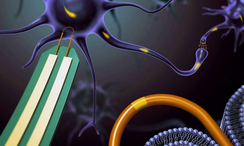 Nanoprobe could be a leap forward in high-resolution human-machine interfaces