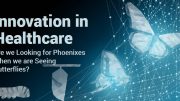 Innovation in Healthcare - Are We Looking for Phoenixes When We Are Seeing Butterflies
