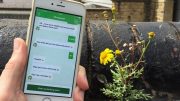 Study shows smartphone app could be a ‘green prescription’ for mental health