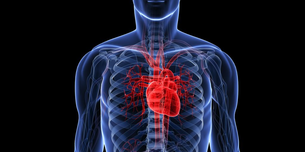 Project to Predict Cardiovascular Events Receives Heart Research UK Grant