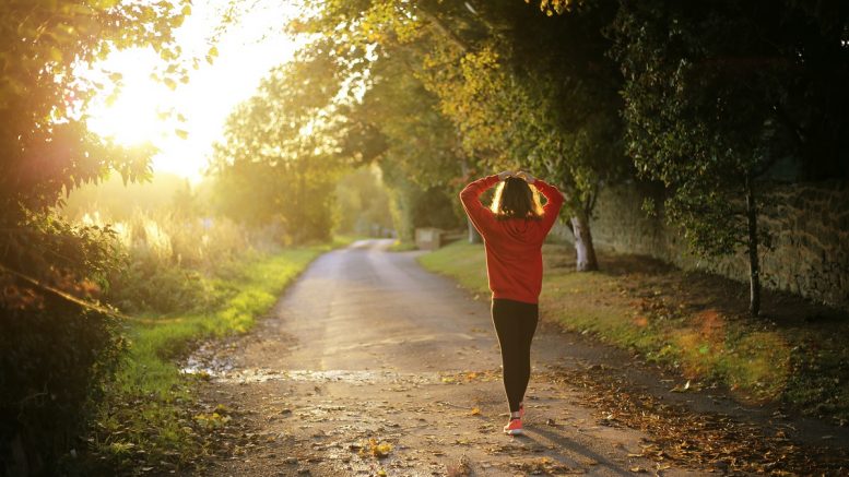 How Popular is Technology for Helping People Navigate Through Their Mental Health Issues