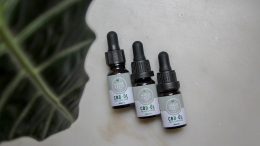 Technology Is Upgrading The CBD Industry