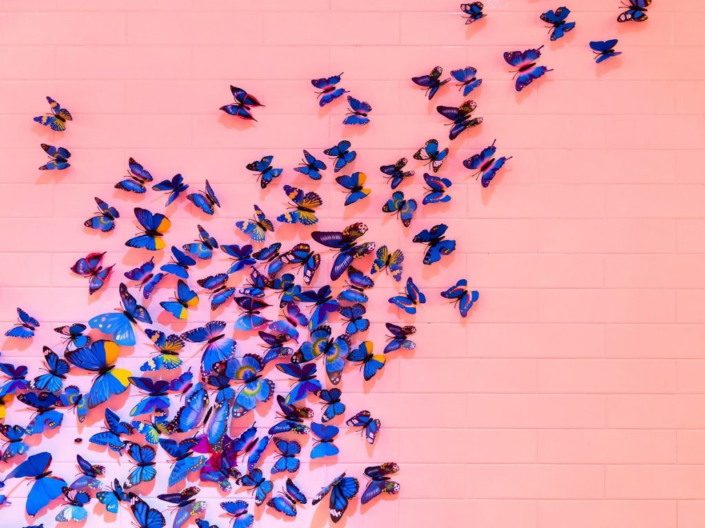 The Butterfly Effect in Digital Health