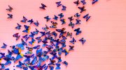 The Butterfly Effect in Digital Health