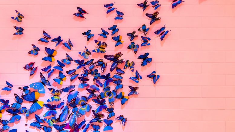 The Butterfly Effect in Digital Health