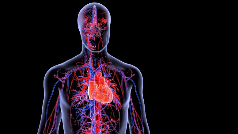 The Living Heart Project and how Virtual Twin Technology can Improve Healthcare for all