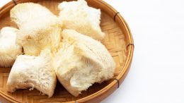 Everything You Need To Know About Lion's Mane Mushrooms