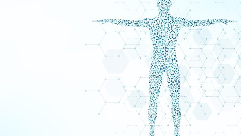 Reshaping Diagnostic Pathways bringing Imaging 3D X-ray into the Community