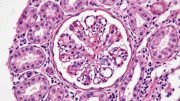 Stockport NHS Foundation Trust Advances NHS Digital Pathology Transformation with Clinisys WinPath