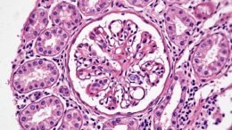 Stockport NHS Foundation Trust Advances NHS Digital Pathology Transformation with Clinisys WinPath